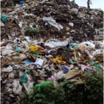 Pile of rubbish collected from verges