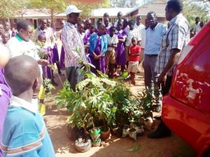 Photo of Unloading the trees at Kaminogedo Primary School from Newsletter April 2017