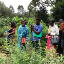 Sr-Francisca-shows-plants-in-her-garden-to-other-participants-during-seminar-May-2018