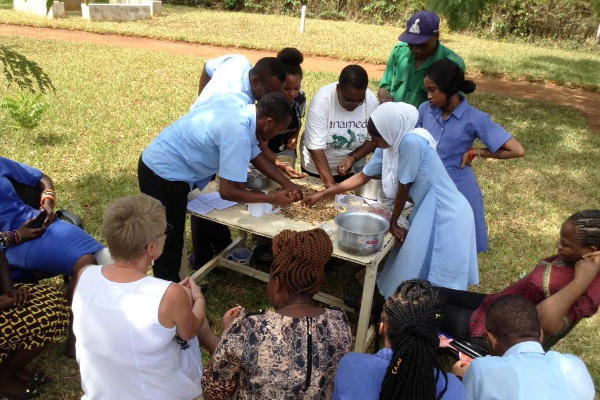 Students cleaning groundnut shells ready for making medicinal charcoal