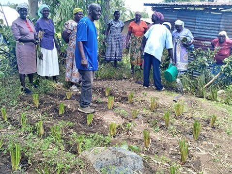 Participants learn about planting a Vetiver Nursery together