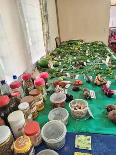 Table full of ingredients